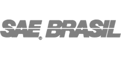 SAE